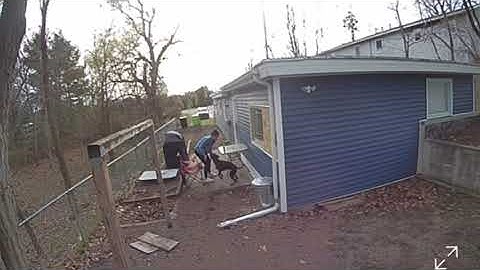 Security Camera Captures Woman Falling Backwards in Chair || ViralHog