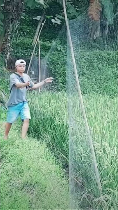 ngabuburit di sawah