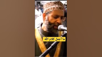 تلاوة  طيبة  بصوت خاشع للشيخ حسن صالح