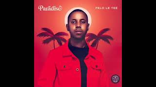 Felo Le Tee - NJE NJE ft. Mr JazziQ, Reece Madlisa, Zuma, Dj Maphorisa & Kabza de Small
