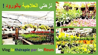 Vlog: la thérapie par les fleurs/roses ! نزهتي العلاجية بالورود: زهور ونباتات منزلية في منتهى الجمال