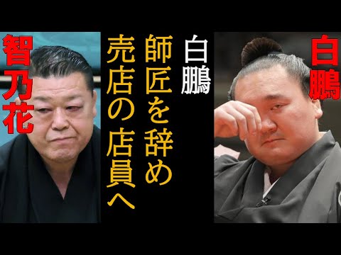 白鵬・北青鵬問題が世界一わかる動画（2月28日最新情報版）元横綱に衝撃の処遇 宮城野部屋取り潰しか？