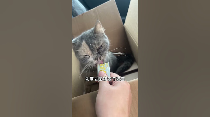 我居然捡到了一只猫！  #狗狗#动物#萌宠#宠物#animals#dogs#funny#cute