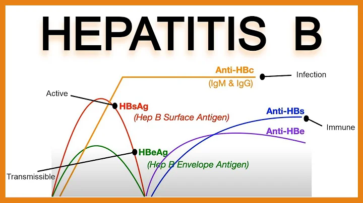 Hepatitis B Serology/Interpretation - DayDayNews