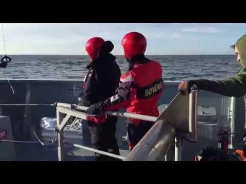 Video: Hvad Er Forskellen Mellem En Sømand Og En Marine