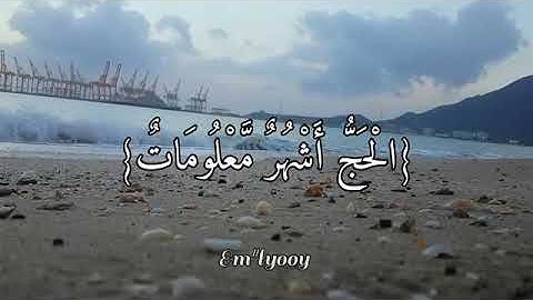 القارئ عبد الرحمن مسعد { الحج اشهر معلومات }حالات واتساب قرآن كريم