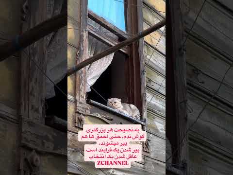 به نصیحت هربزرگتری گوش نده چون حتی احمق ها هم پیر میشند طنز ایران کلیپ پیشرفت انگیزشی موفقیت