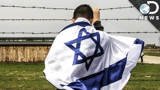 How the Holocaust Might Have Damaged Your Genes How the Holocaust Might Have Damaged Your Genes