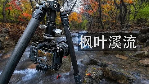 【雷雨】為了拍攝到最美秋色，攝影師在「零下五度」的水中拍攝 - 天天要聞