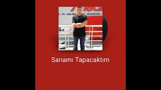 Ahmet Ali̇ İptaş Sanami Tapacaktim