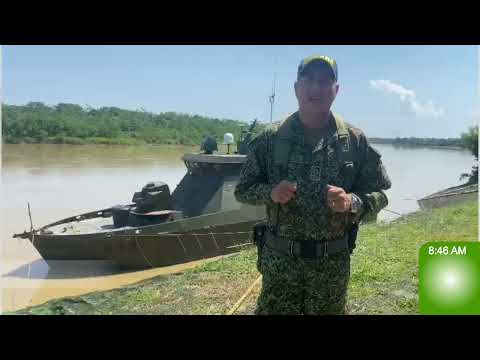 La Armada de Colombia libera cinco caimanes en el Río Guaviare