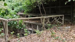 Abandoned Cypress Lawn Section - Isolated Clip. Colma Ca.