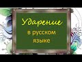 Русскйй язык. Видеоурок. Ударение в русском языке.