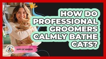 How Do Professional Groomers Calmly Bathe Cats? - Happy Cat Handbook