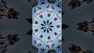 Flying Lotus - Dream To Me (Videoclip)