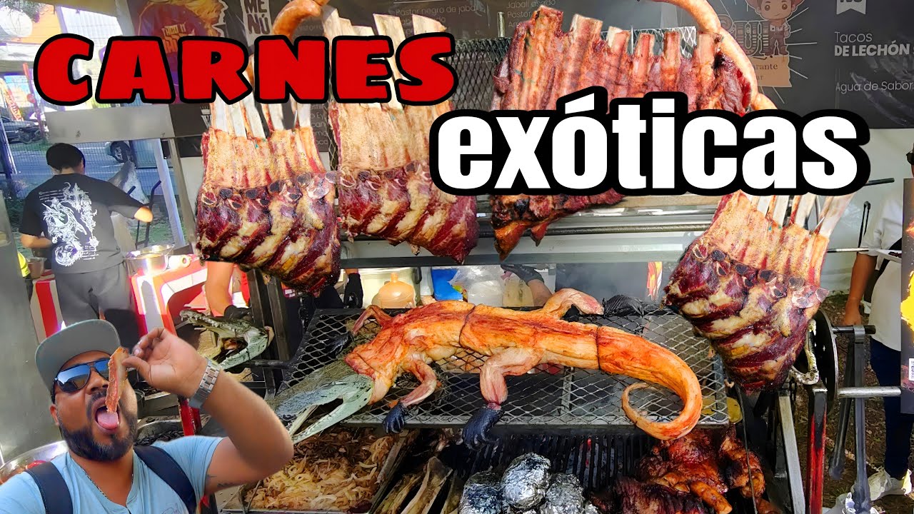 FESTIVAL del ASADO Morelia JABALI COCODRILO BUFFALO AVESTRUZ y MAS ..😱😱😱