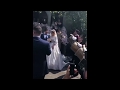 Традиционные армянские свадебные танцы и песни / Шикарная армянская свадьба в Ереване / Таши Туши