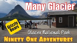Many Glacier Boat Tour and Hike | Glacier National Park | Grizzly Bear with Cubs by Ninety One Adventures 1,095 views 1 year ago 15 minutes