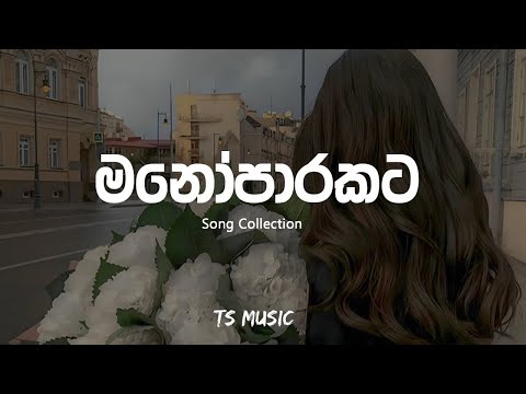 මනෝපාරකට (Slowed + Reverb) Song Collection | Trending Songs | Manoparakata sindu | TS MUSIC