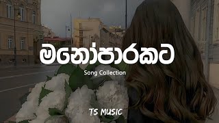 මනෝපාරකට (Slowed + Reverb) Song Collection | Trending Songs | Manoparakata sindu | TS MUSIC