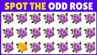 Find the Odd One Out in 15 seconds | Easy, Medium, Hard | Episode 1