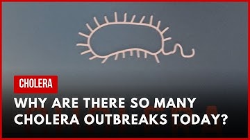 Why are there so many cholera outbreaks?