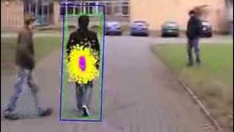 Video Tracking with an Adaptive Particle Filter Person)