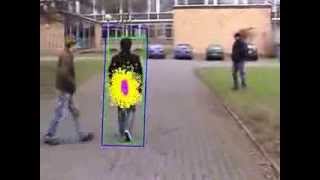 Video Tracking with an Adaptive Particle Filter Person)