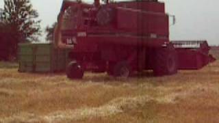 Moisson dans les vosges
