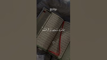 محمد رسول الله #ياسر_الدوسري #سورة_الفتح #قرآن #قرآن_كريم