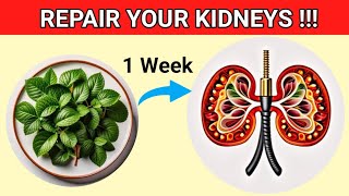 TOP 10 Foods To DETOX and CLEANSE Your Kidneys Naturally (REVERSE Kidney Damage)