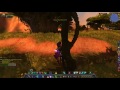 A curious bloom quest id 24542 playthrough southern barrens