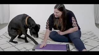 How To Train Your Dog to Use a ScratchPad Scratch Board  Front Feet