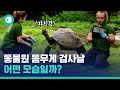 낙타는 어떻게 몸무게를 잴까요?...우당탕탕 런던 동물원 신체검사 날 / 비디오머그