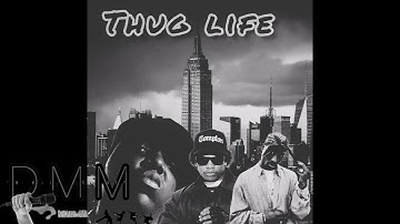 2 Pac & Biggie feat. Eazy-E - Trust Nobody (2013rmx)