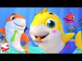 Baby shark song animal song and preschool rhyme for babies