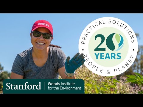 20 years of practical solutions for people & the planet