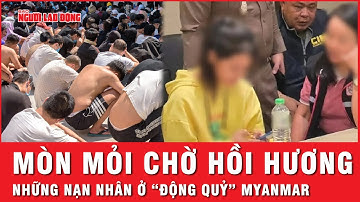 Hàng ngàn nạn nhân bị lừa sang “động quỷ” Myanmar mòn mỏi chờ hồi hương | Thời sự