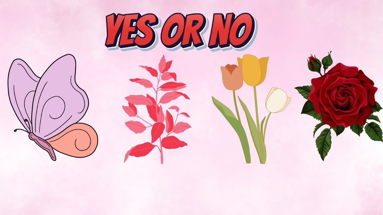 Yes or No | Pick A CARD | Tarot Card Readings In Hindi - YouTube