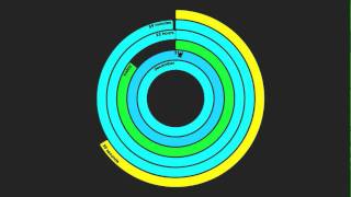 Polar Clock - New Year 2011
