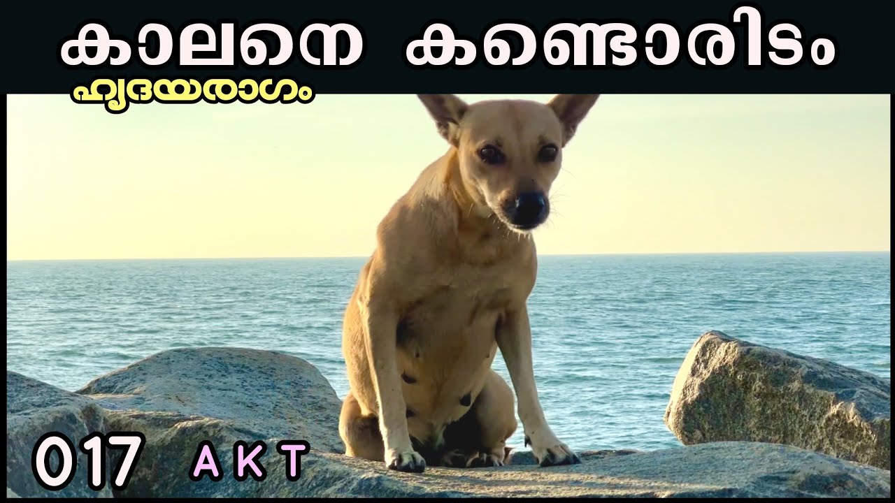 EP #17 മരണപ്പൊഴിയാണ് മുതലപ്പൊഴിയല്ല | കേരളയാത്ര | Muthalapozhi Of Perumathura Village