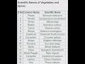 Scientific names of vegetables and fruits neet/cuet