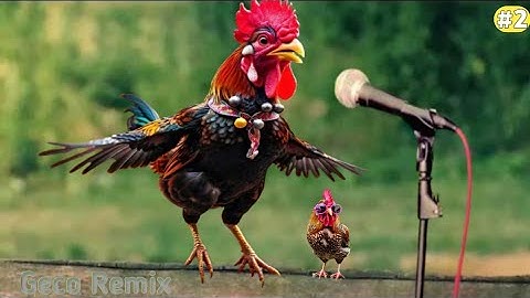 J.Geco - Chicken Dance (Original) The hens, Rooster dancing song 2 | 2024 #2