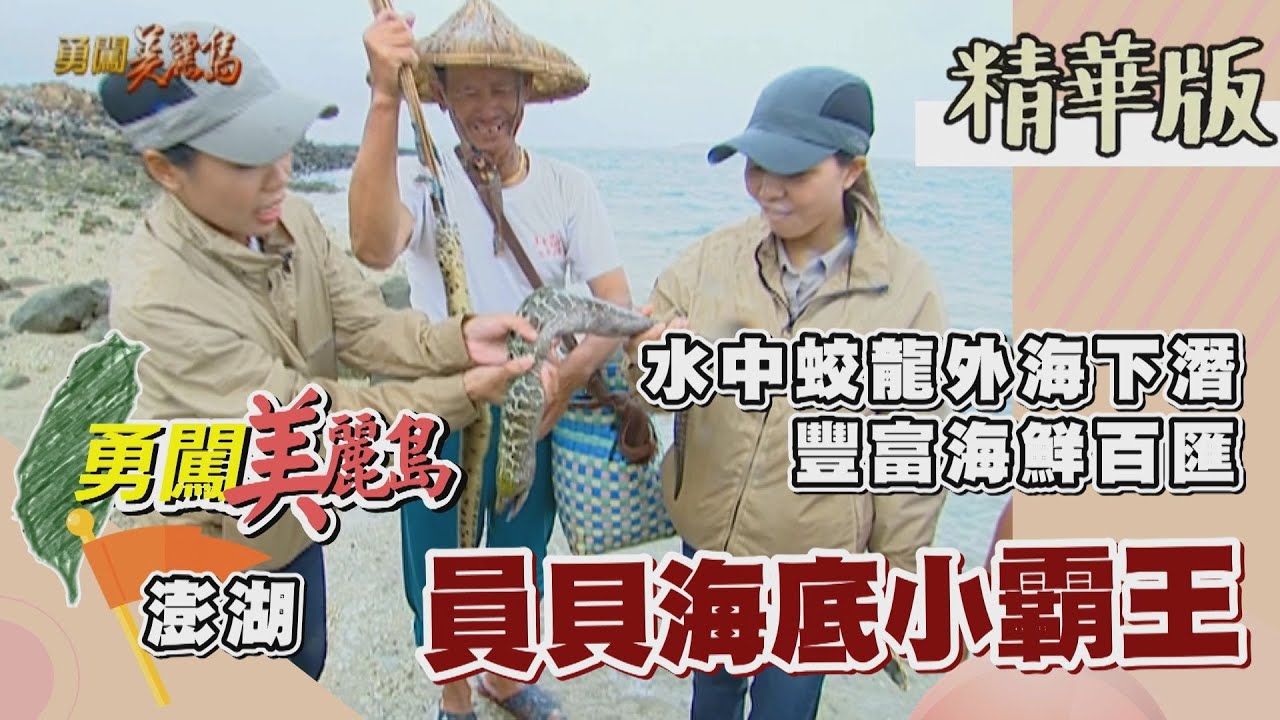 【勇闖美麗島】海底小霸王 外海下潛水中蛟龍（抓海膽／淺海區捉錢鰻／小卷飯／兄弟檔潛水小教練）│2002.06.25│ 101集精華版