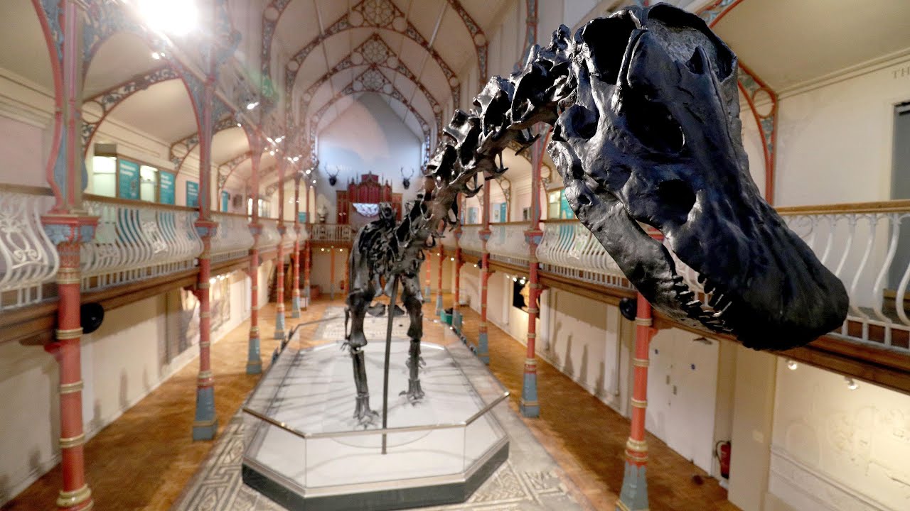 Who is Dippy the Diplodocus, when is the dinosaur's UK tour and what's replaced him at the Natural History Museum?