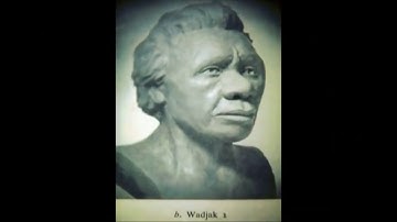 Dr Don Patton - Fossil Men? - Part 2