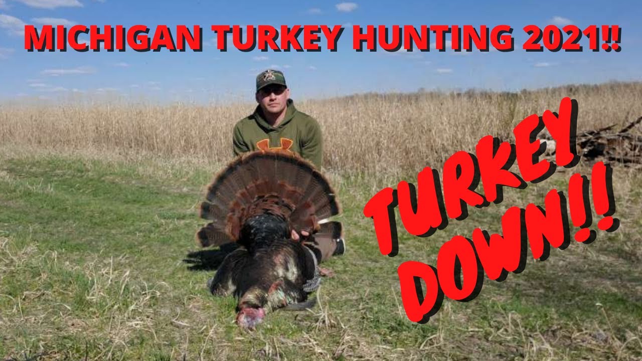 MICHIGAN TURKEY HUNTING 2021!!! TURKEY DOWN!!! YouTube