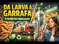 Da Larva à Garrafa: Como Insetos Estão Redefinindo o Futuro das Embalagens ;