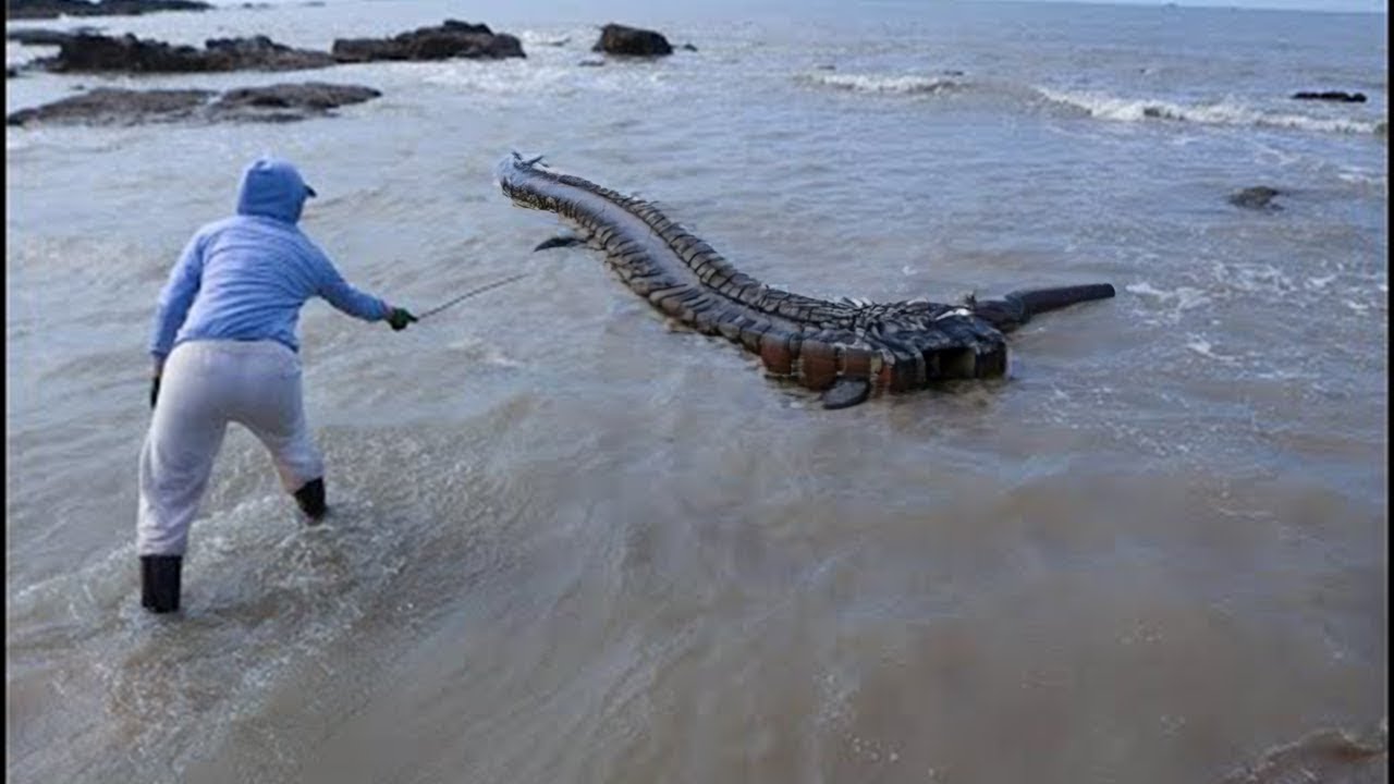 O QUE UM HOMEM CAPTURADO EM UM RIO CHOCOU O MUNDO INTEIRO