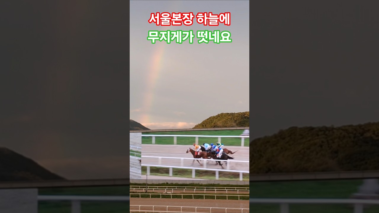 무지게 얼마만에 보는거야?#경마 #말 # 달려라말 #shorts
